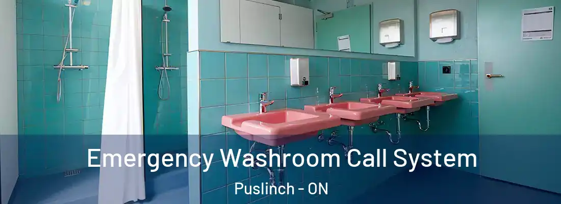  Emergency Washroom Call System Puslinch - ON