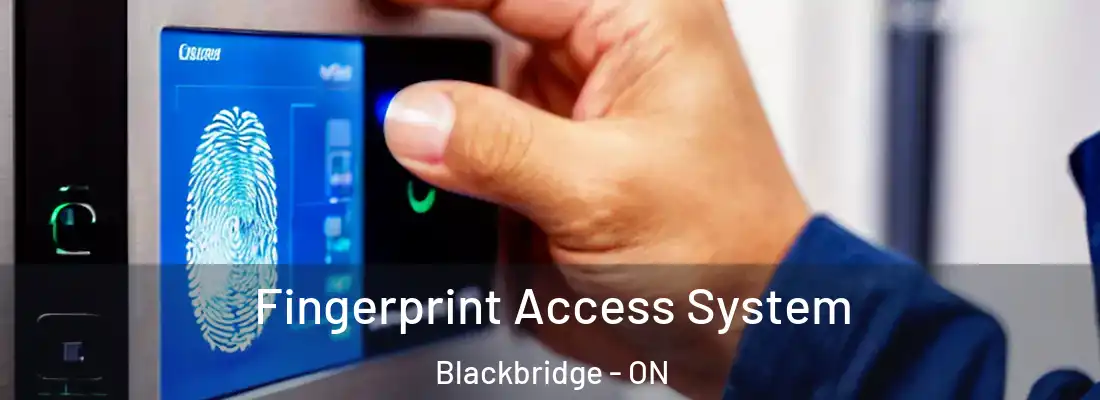  Fingerprint Access System Blackbridge - ON