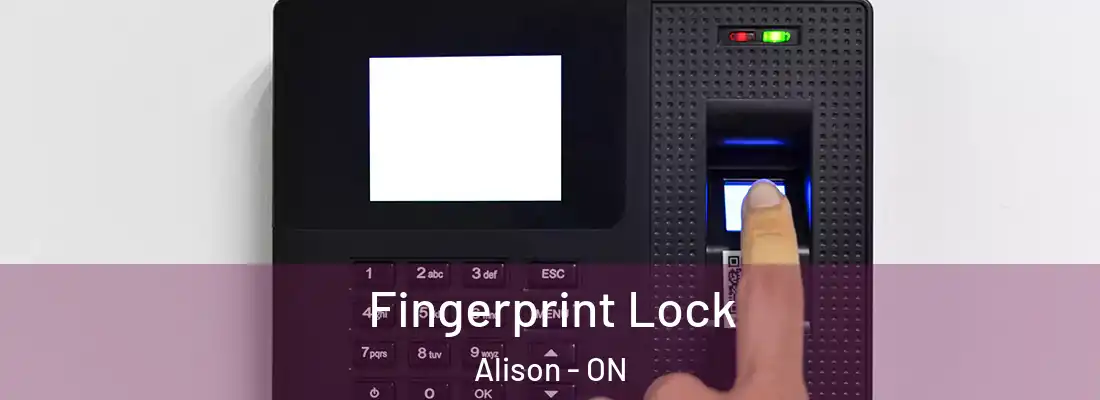  Fingerprint Lock Alison - ON