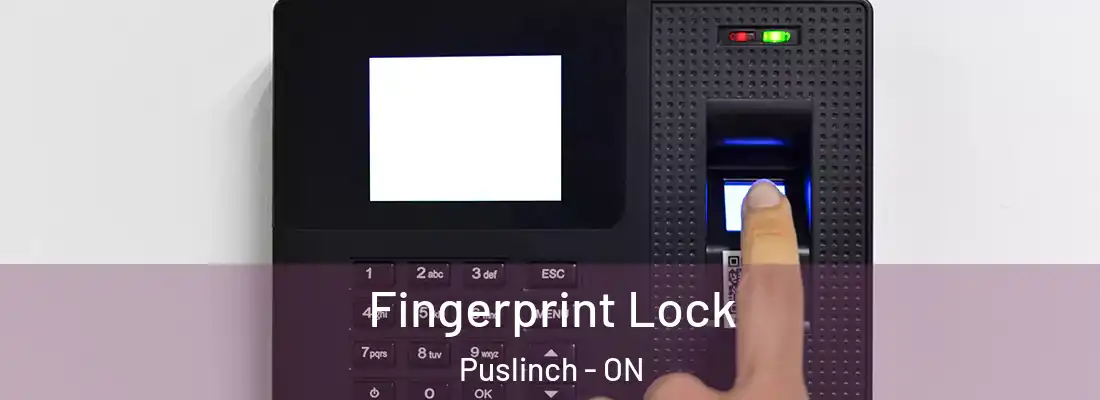  Fingerprint Lock Puslinch - ON