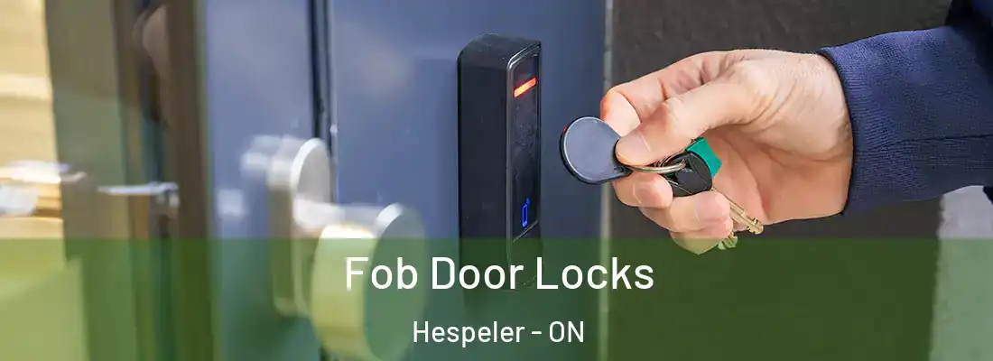  Fob Door Locks Hespeler - ON