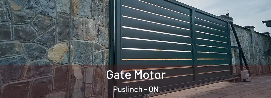  Gate Motor Puslinch - ON