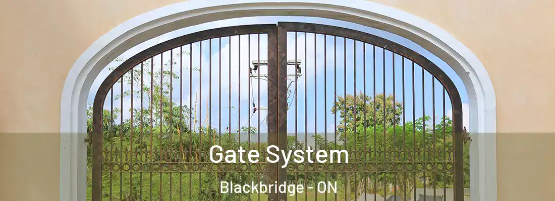  Gate System Blackbridge - ON