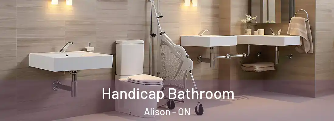  Handicap Bathroom Alison - ON