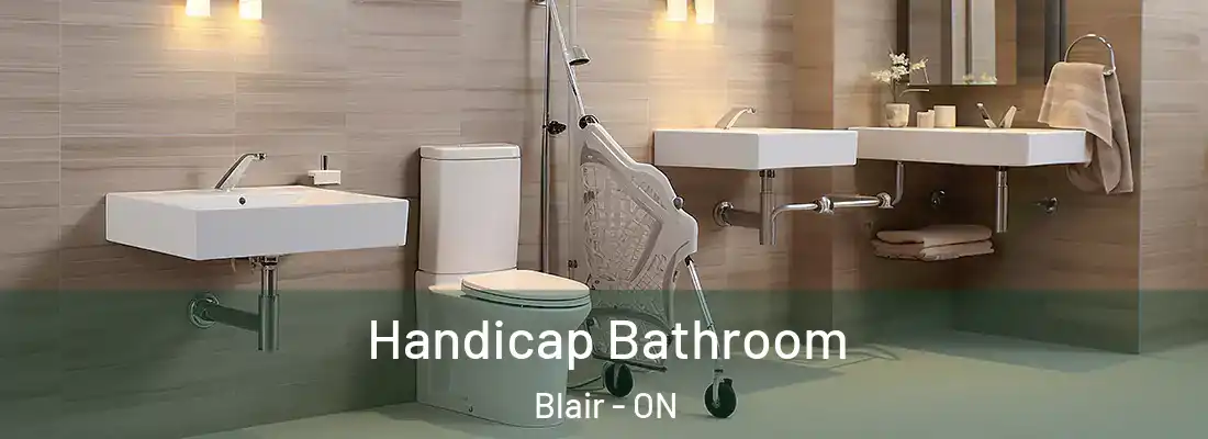  Handicap Bathroom Blair - ON