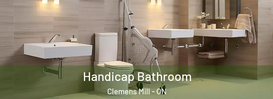  Handicap Bathroom Clemens Mill - ON