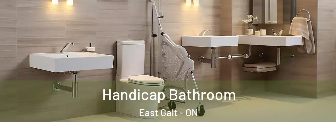  Handicap Bathroom East Galt - ON