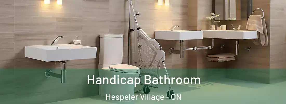 Handicap Bathroom Hespeler Village - ON