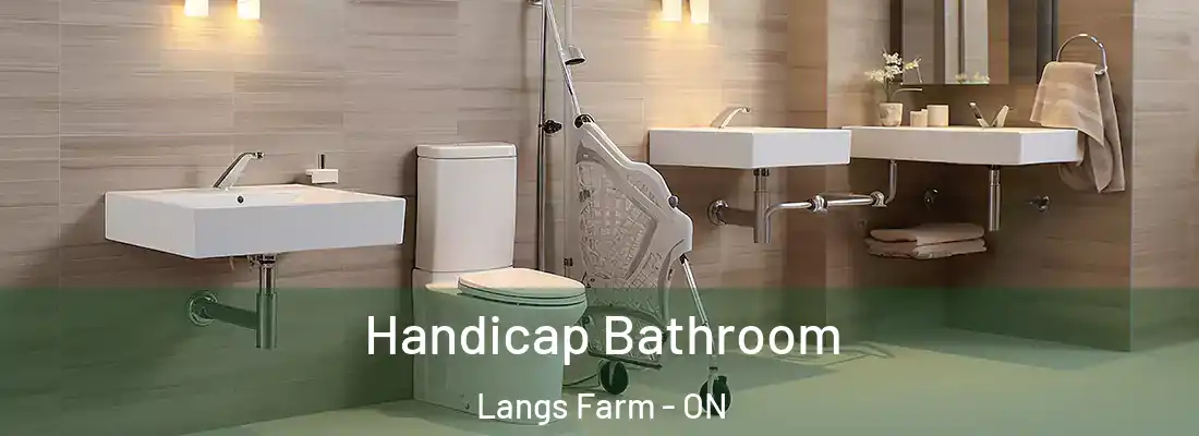  Handicap Bathroom Langs Farm - ON