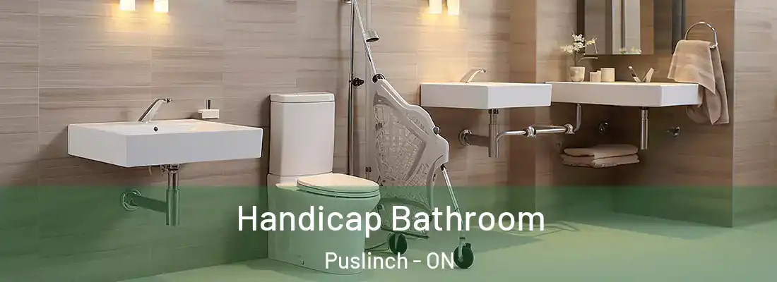  Handicap Bathroom Puslinch - ON