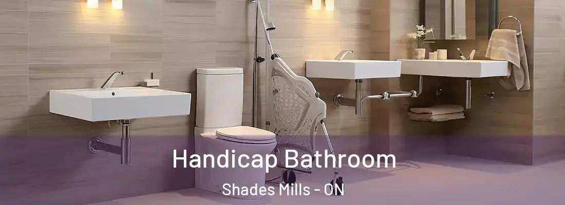  Handicap Bathroom Shades Mills - ON