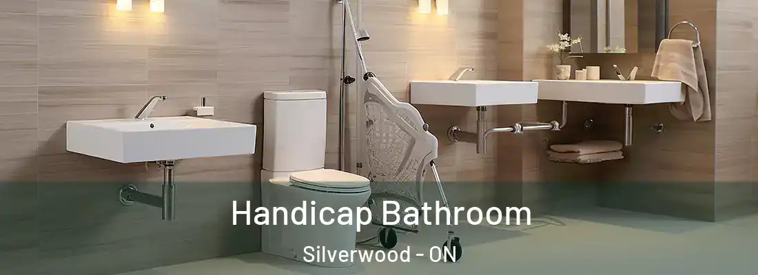  Handicap Bathroom Silverwood - ON