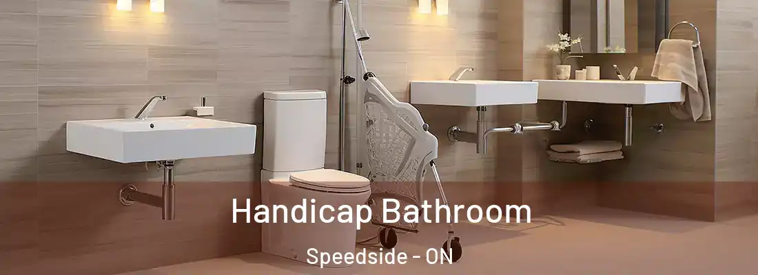  Handicap Bathroom Speedside - ON