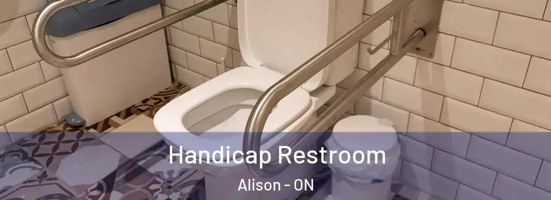  Handicap Restroom Alison - ON