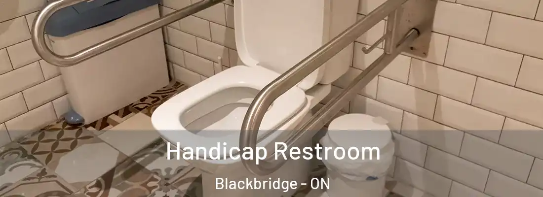  Handicap Restroom Blackbridge - ON