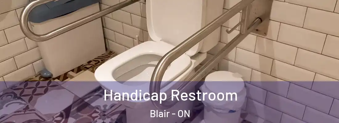  Handicap Restroom Blair - ON