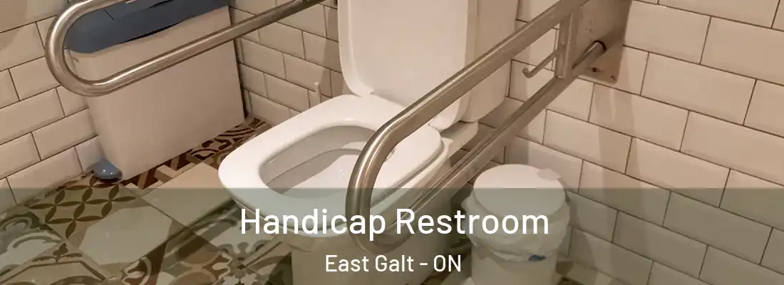  Handicap Restroom East Galt - ON