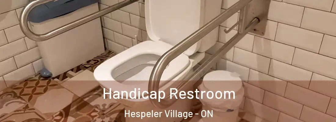  Handicap Restroom Hespeler Village - ON