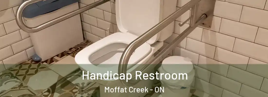  Handicap Restroom Moffat Creek - ON