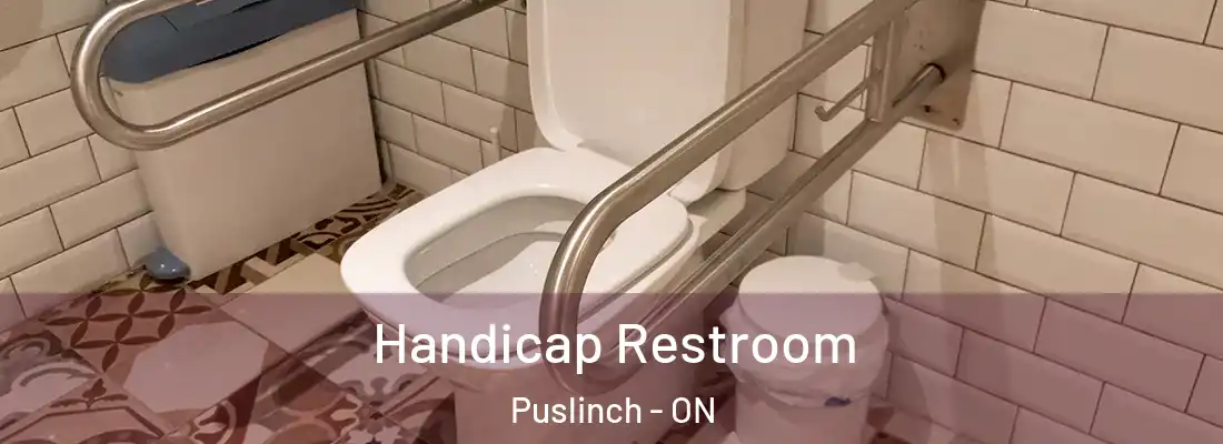 Handicap Restroom Puslinch - ON