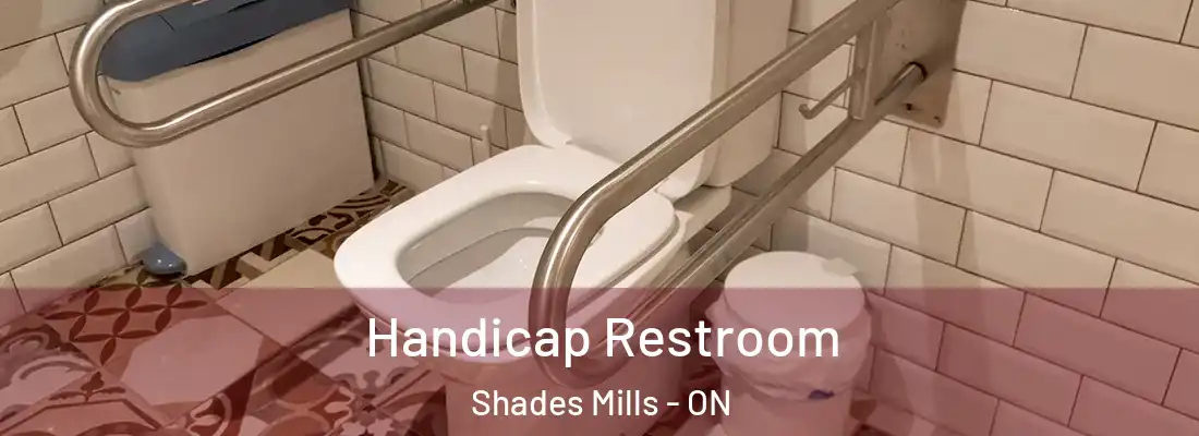  Handicap Restroom Shades Mills - ON