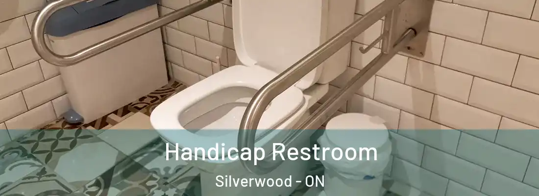  Handicap Restroom Silverwood - ON