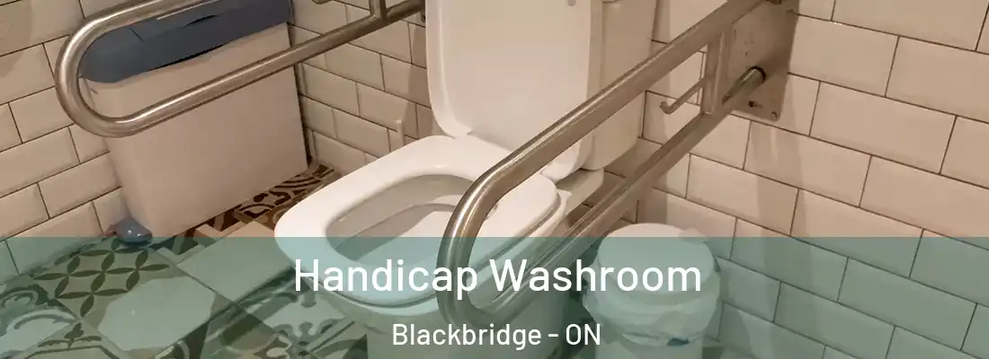  Handicap Washroom Blackbridge - ON