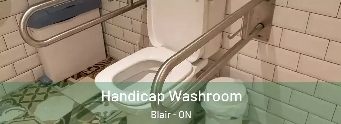  Handicap Washroom Blair - ON