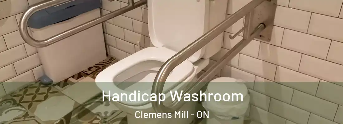  Handicap Washroom Clemens Mill - ON