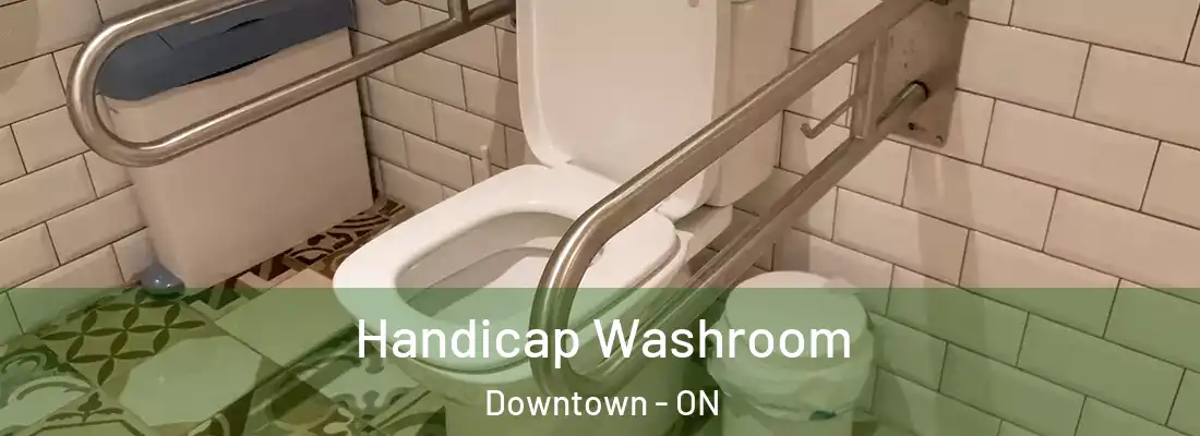  Handicap Washroom Downtown - ON