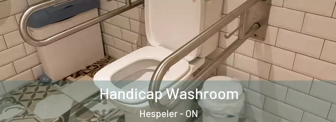  Handicap Washroom Hespeler - ON