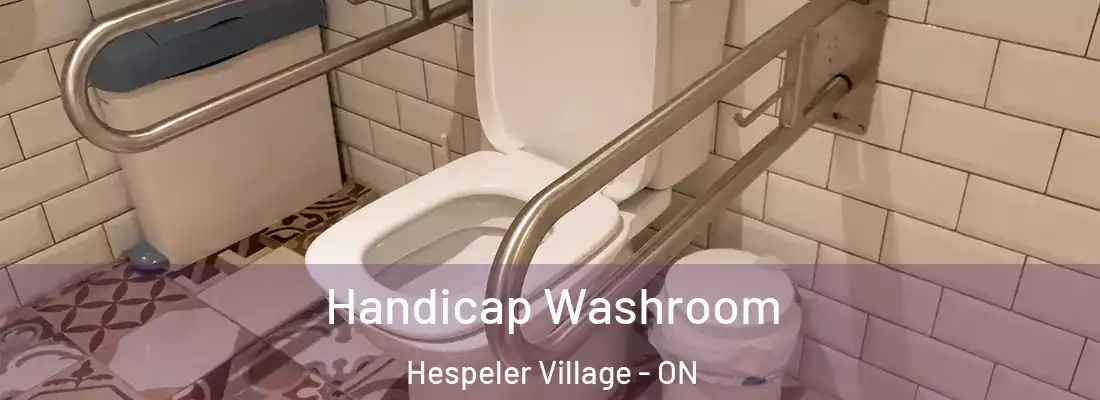  Handicap Washroom Hespeler Village - ON