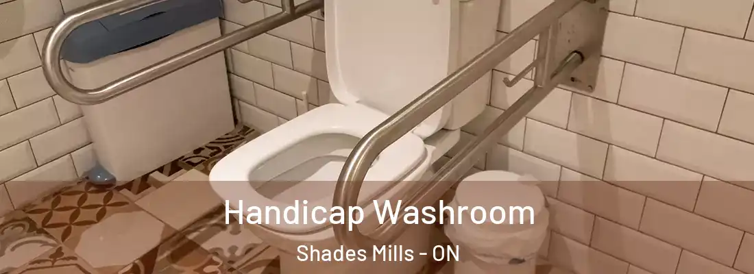  Handicap Washroom Shades Mills - ON