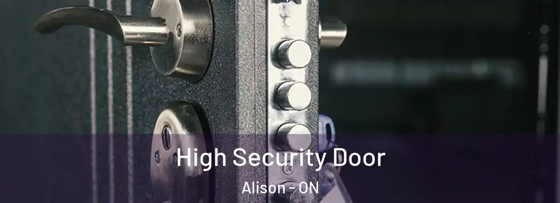  High Security Door Alison - ON