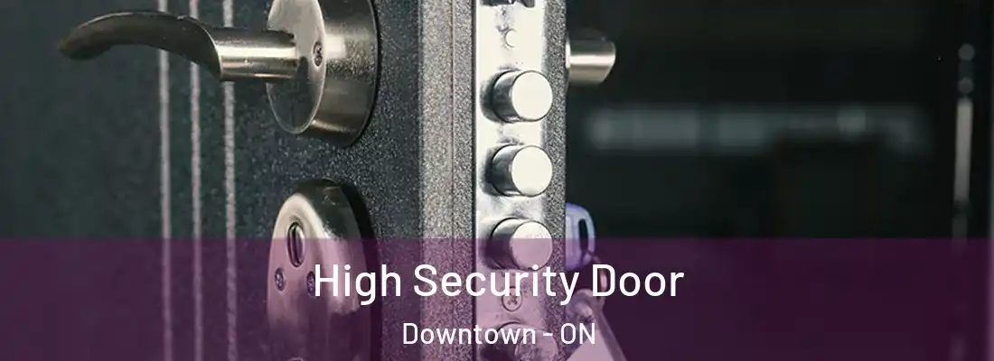  High Security Door Downtown - ON
