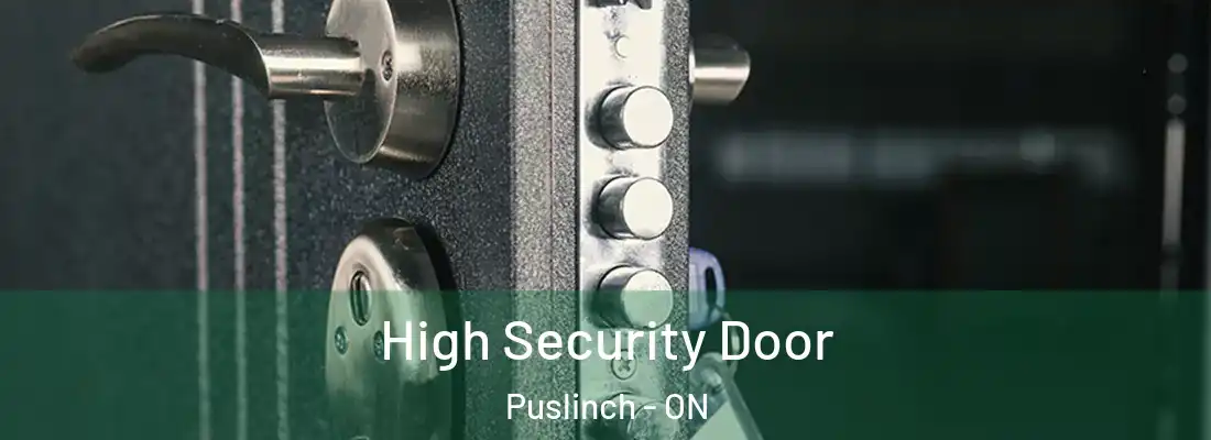  High Security Door Puslinch - ON