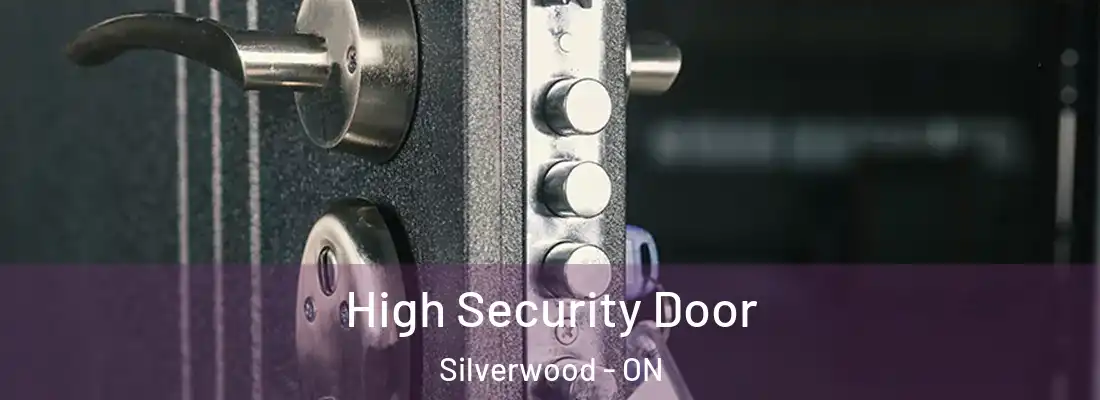  High Security Door Silverwood - ON