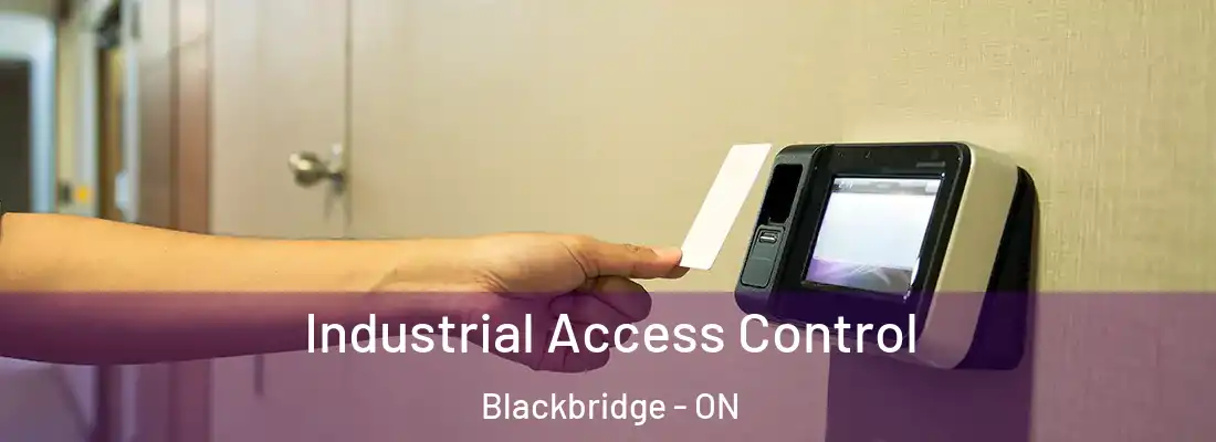  Industrial Access Control Blackbridge - ON