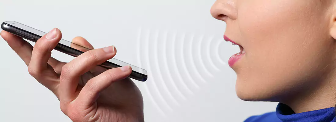 Residential and Commercial Voice Recognition Access Solutions in Cambridge, ON