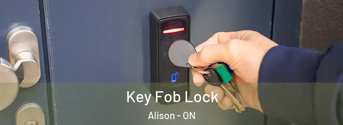  Key Fob Lock Alison - ON