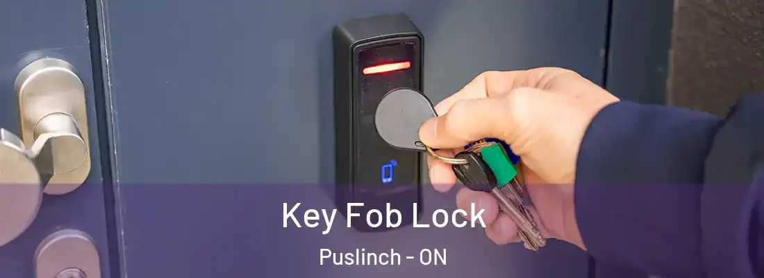 Key Fob Lock Puslinch - ON
