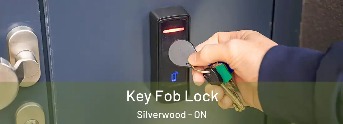  Key Fob Lock Silverwood - ON