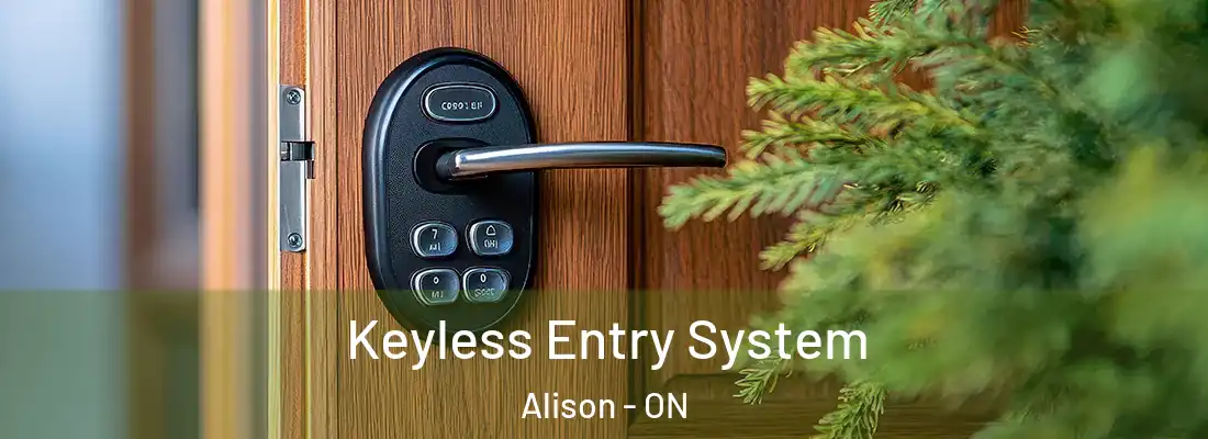  Keyless Entry System Alison - ON