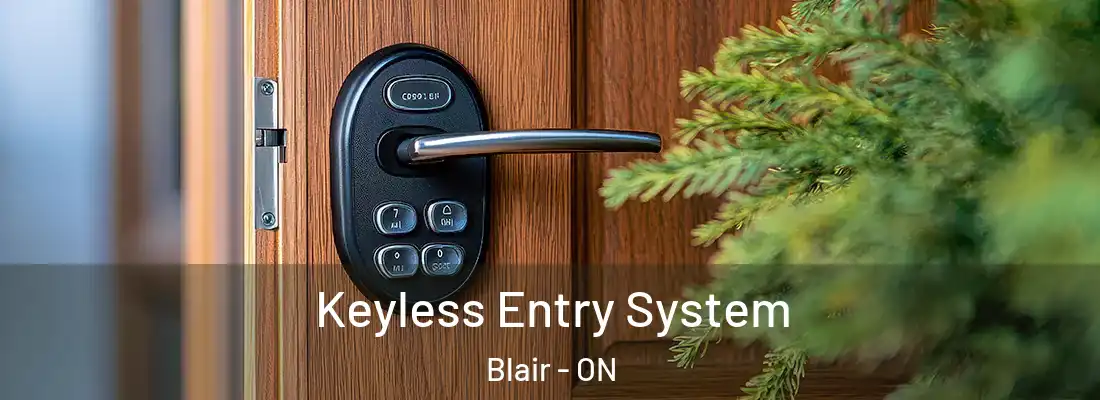  Keyless Entry System Blair - ON