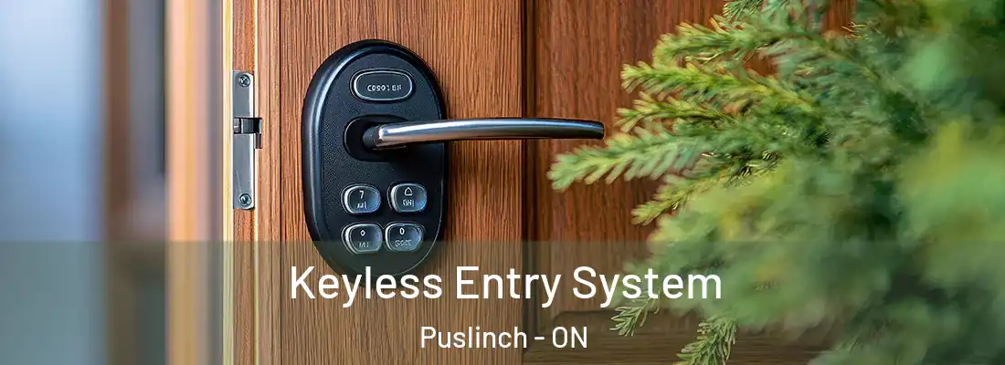  Keyless Entry System Puslinch - ON