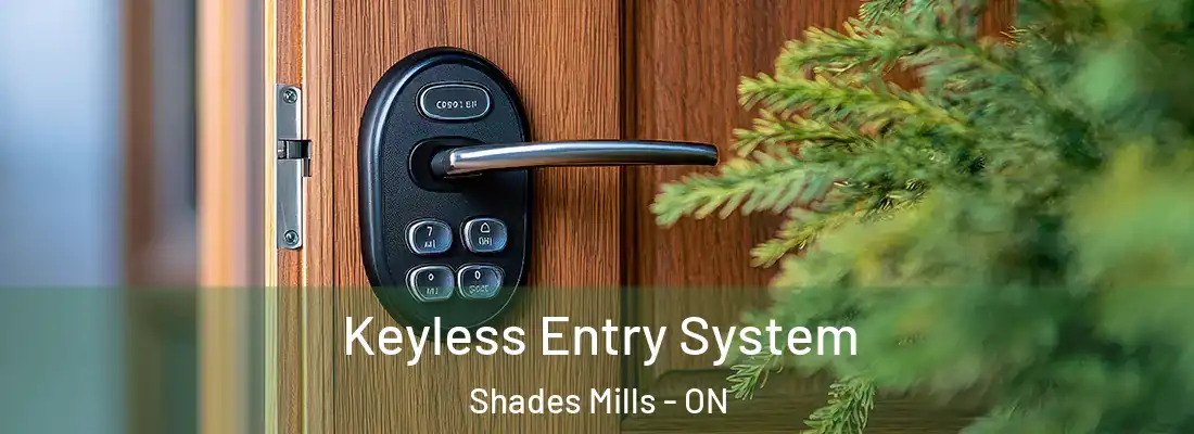  Keyless Entry System Shades Mills - ON