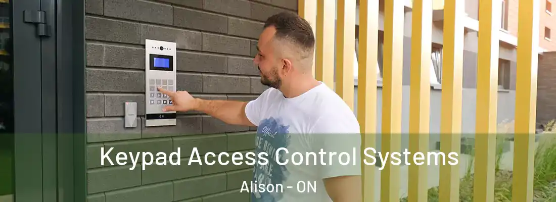  Keypad Access Control Systems Alison - ON