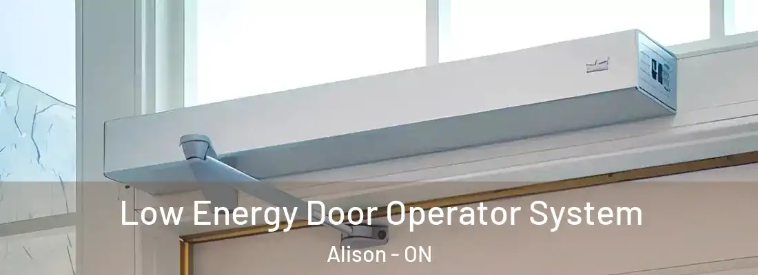  Low Energy Door Operator System Alison - ON