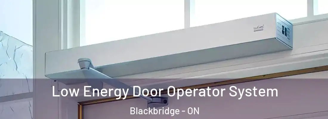  Low Energy Door Operator System Blackbridge - ON