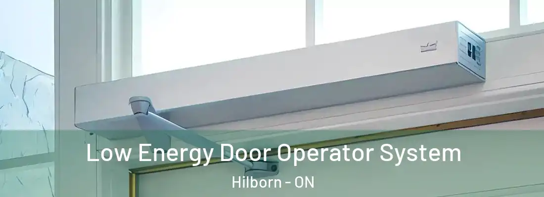  Low Energy Door Operator System Hilborn - ON